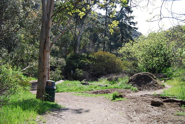 Runyon.Canyon.LA.20