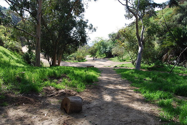 Runyon.Canyon.LA.14