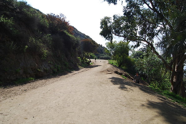 Runyon.Canyon.LA.24