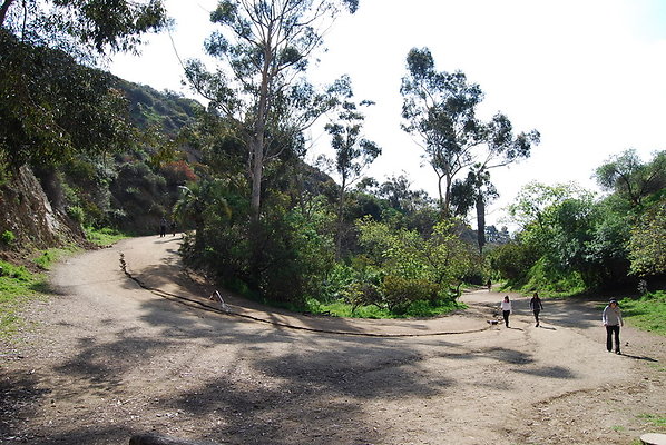 Runyon.Canyon.LA.10