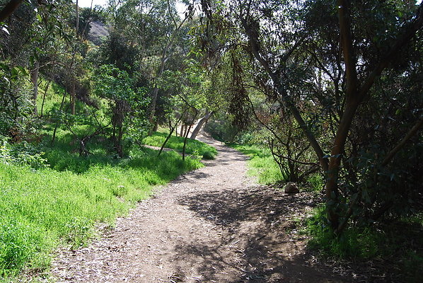 Runyon.Canyon.LA.16
