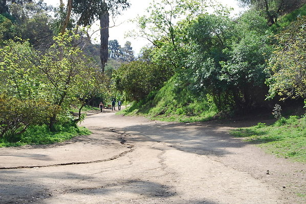 Runyon.Canyon.LA.11