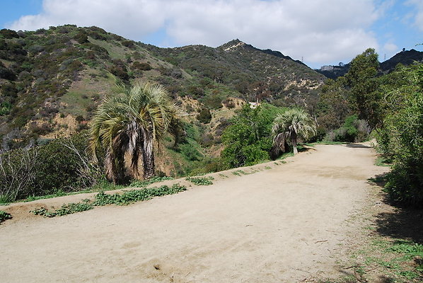 Runyon.Canyon.LA.38