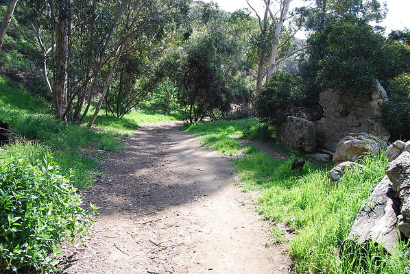 Runyon.Canyon.LA.18