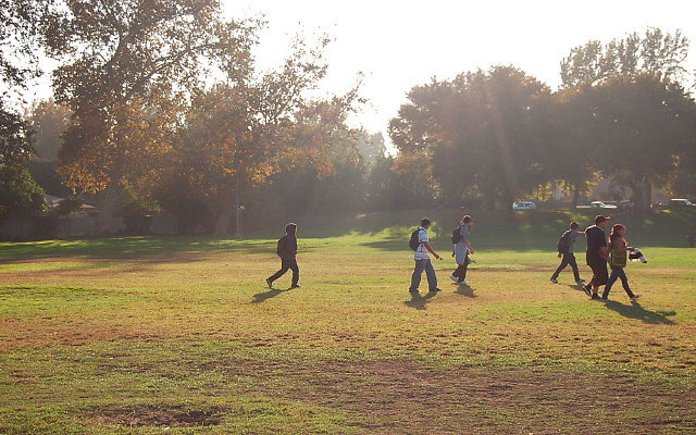 DSC 0429