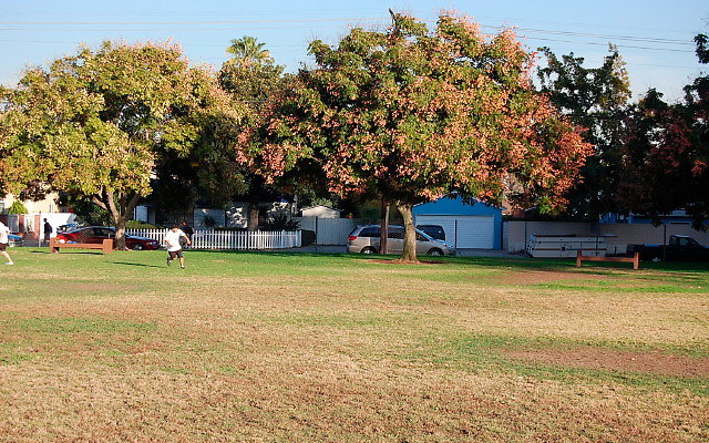 DSC 0424