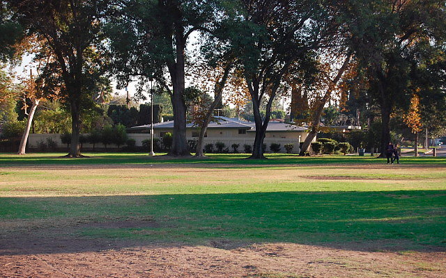 DSC 0436