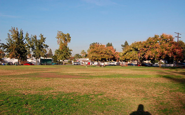 DSC 0413