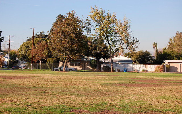 DSC 0415
