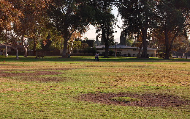 DSC 0409