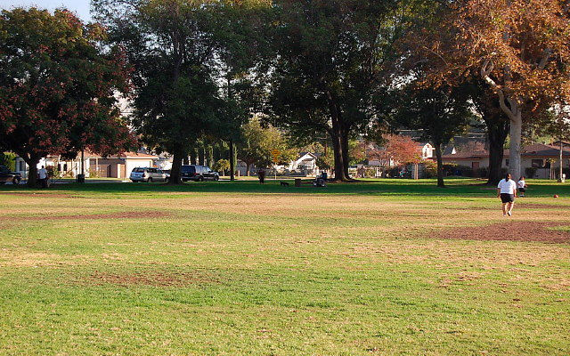 DSC 0408