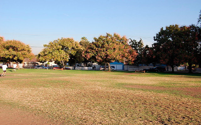 DSC 0421