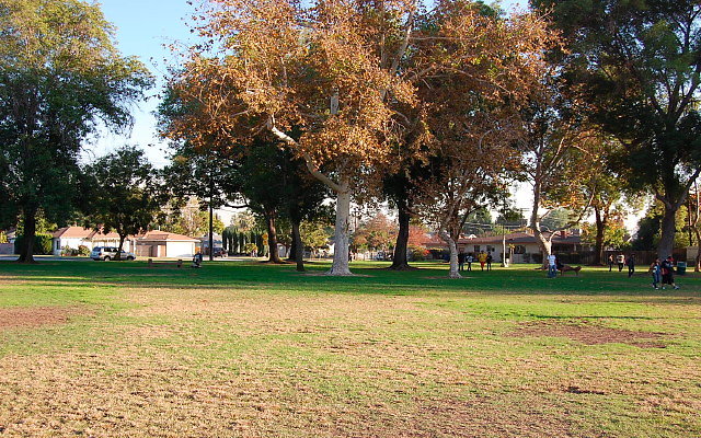 DSC 0422