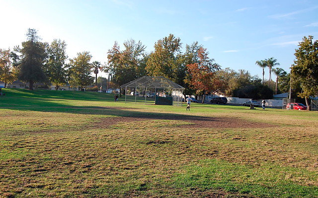 DSC 0428