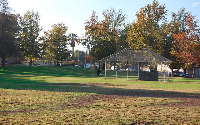 DSC 0431