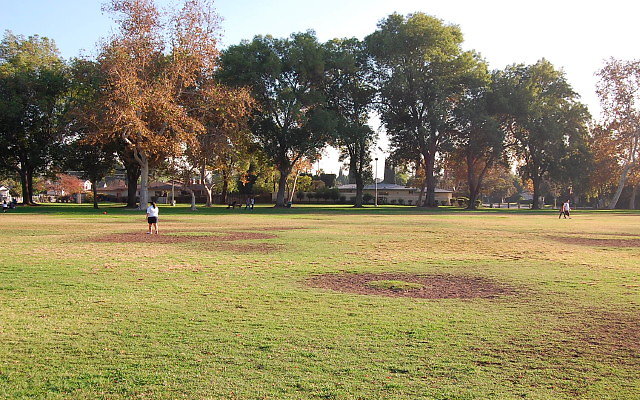 DSC 0406
