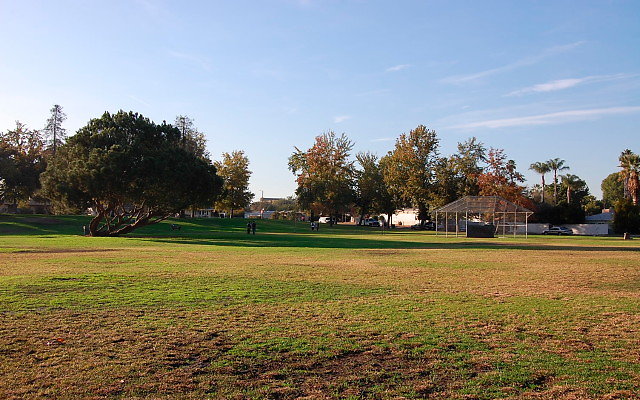 DSC 0411
