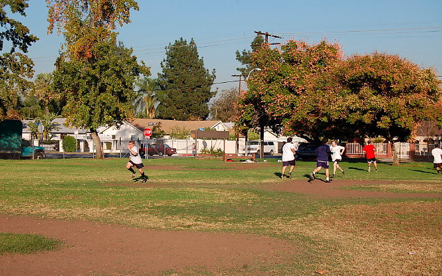 DSC 0423