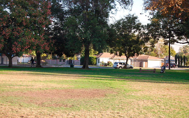 DSC 0425