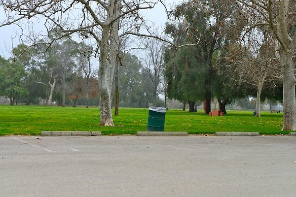 DSC 2367