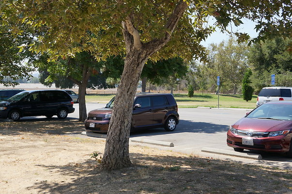 Woodley.Park.Back.Parking Lot27