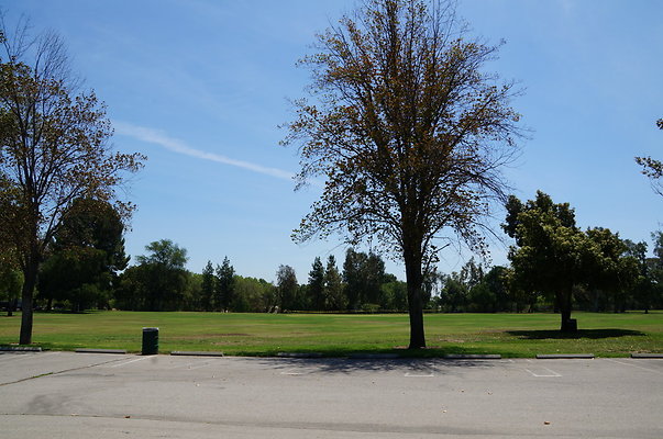 Woodley Park.Wright.Cricket Field.Parking.Lot14