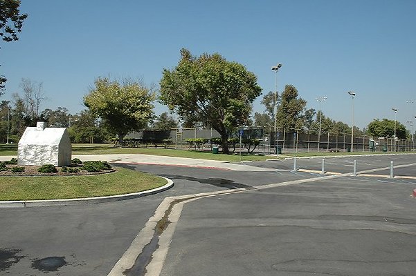 DSC 0181