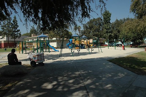 DSC 0199