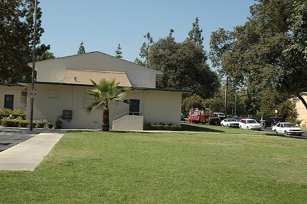 DSC 0243