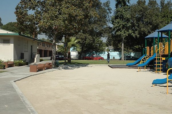 DSC 0209