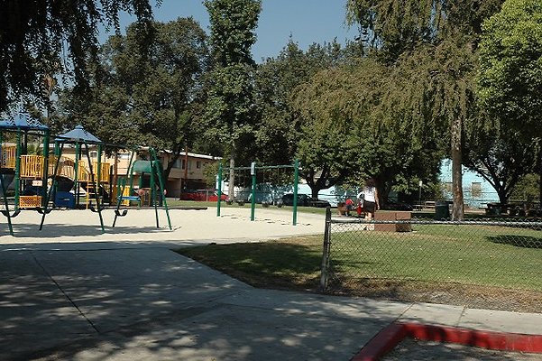 DSC 0251