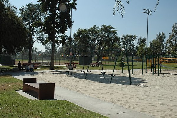 DSC 0246