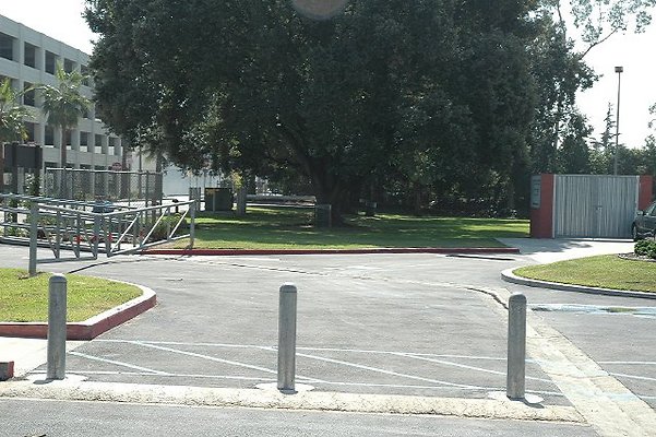 DSC 0196