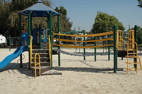 DSC 0210