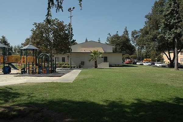 DSC 0239