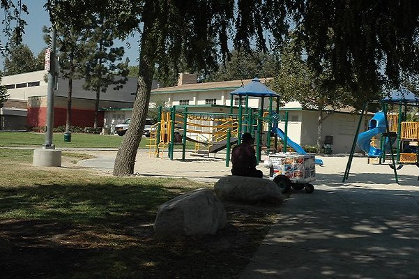 DSC 0250