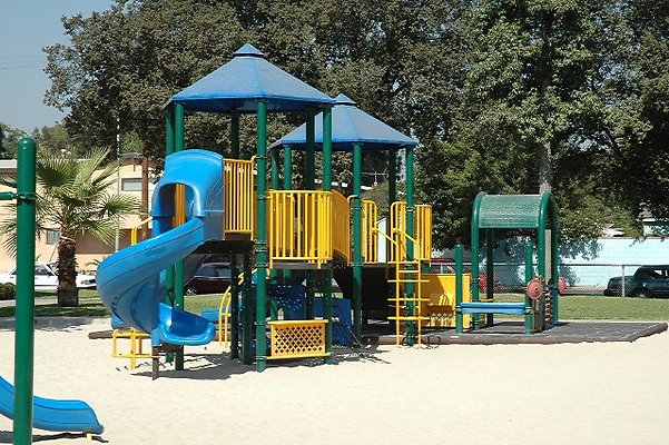 DSC 0204