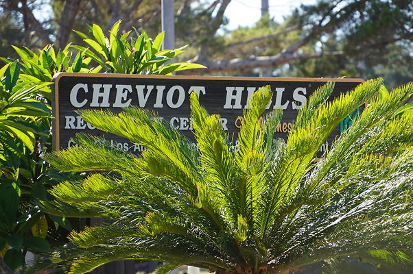 Cheviot Hills Park.9.2015