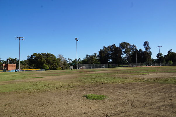 DSC09504