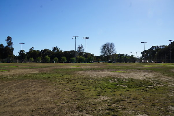 DSC09505