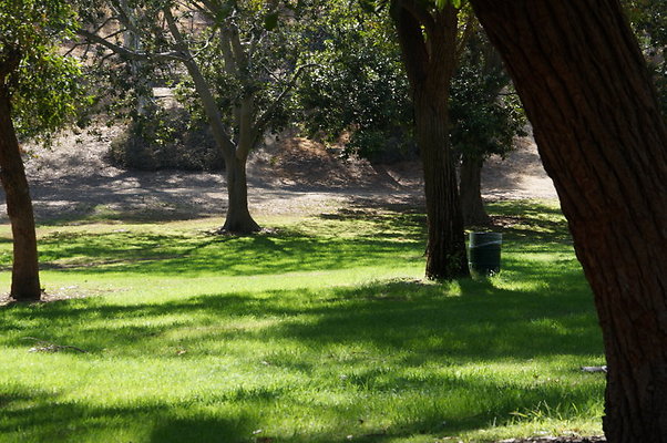 DSC09197