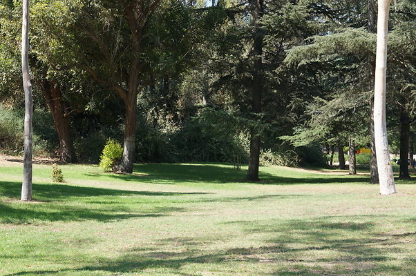 DSC09180