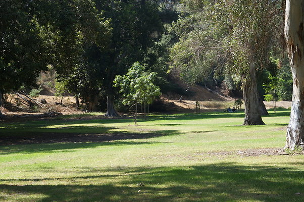 DSC09200