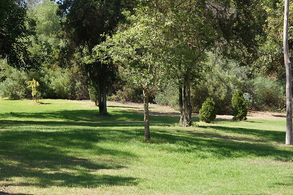 DSC09179