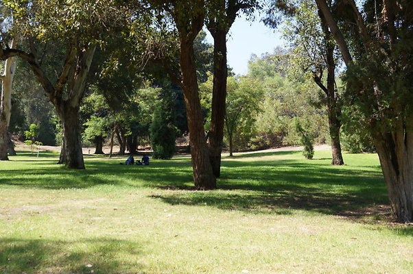 DSC09190