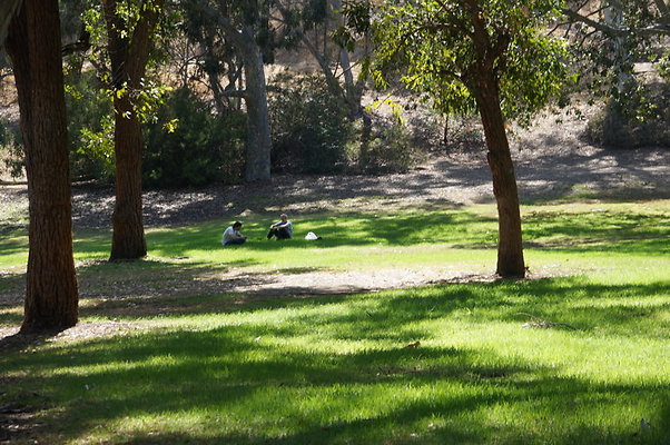DSC09196
