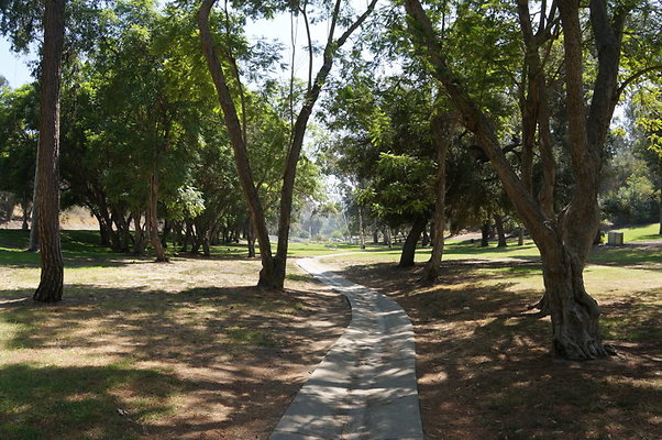 DSC09161