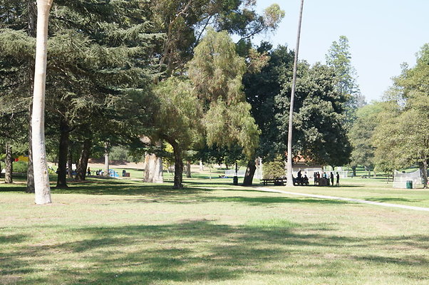 DSC09181