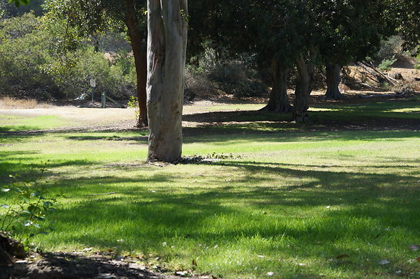 DSC09198