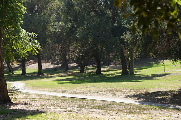 DSC09156